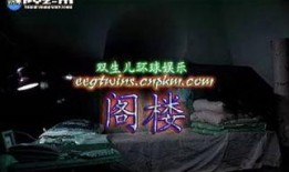 阁楼dvd版在线观看,揭秘神秘阁楼背后的惊悚故事