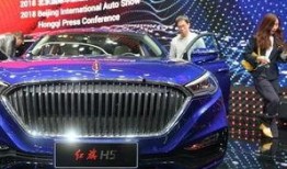 红旗最新爆料,揭秘神秘项目，行业变革即将到来！”